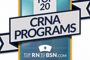 Top 10 Best CRNA Schools: 2024 Rankings Best Schools in America: Top Public & Private Options Top 10 Best CRNA Schools: 2024 Rankings | Best Schools in America: Top Public & Private Options