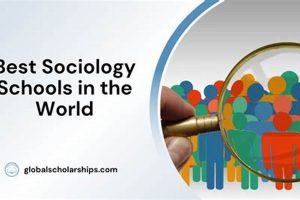Top 10 Best Sociology Schools: 2024 Rankings Best Schools in America: Top Public & Private Options Top 10 Best Sociology Schools: 2024 Rankings | Best Schools in America: Top Public & Private Options