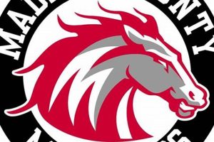 Your Madison County Middle School Mustangs Guide Best Schools in America: Top Public & Private Options Your Madison County Middle School Mustangs Guide | Best Schools in America: Top Public & Private Options