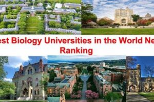 Top Best Schools for Biological Sciences Programs Best Schools in America: Top Public & Private Options Top Best Schools for Biological Sciences Programs | Best Schools in America: Top Public & Private Options