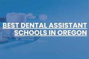 Top 10 Best Dental Assistant Schools: 2024 Guide Best Schools in America: Top Public & Private Options Top 10 Best Dental Assistant Schools: 2024 Guide | Best Schools in America: Top Public & Private Options