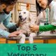 Top 10 Best Vet Med Schools: 2024 Rankings | Best Schools in America: Top Public & Private Options