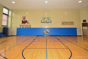 Lincoln Park PA High School Basketball Team & Schedule Best Schools in America: Top Public & Private Options Lincoln Park PA High School Basketball Team & Schedule | Best Schools in America: Top Public & Private Options