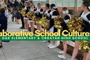 Carteret County Schools Jobs & Careers Best Schools in America: Top Public & Private Options Carteret County Schools Jobs & Careers | Best Schools in America: Top Public & Private Options