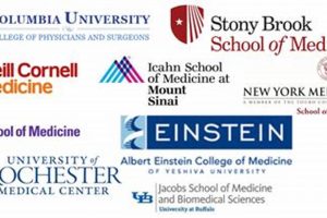 Top Medical Schools in NYC: 2024 Guide Best Schools in America: Top Public & Private Options Top Medical Schools in NYC: 2024 Guide | Best Schools in America: Top Public & Private Options