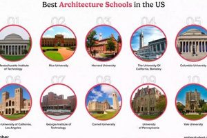Top 10 US Architecture Schools: 2024 Rankings Best Schools in America: Top Public & Private Options Top 10 US Architecture Schools: 2024 Rankings | Best Schools in America: Top Public & Private Options