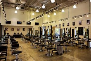 Top Global Esthetician Schools: 2024 Guide Best Schools in America: Top Public & Private Options Top Global Esthetician Schools: 2024 Guide | Best Schools in America: Top Public & Private Options
