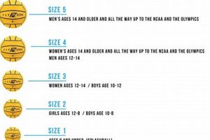 HS Water Polo Ball Size Guide: Official Sizes Best Schools in America: Top Public & Private Options HS Water Polo Ball Size Guide: Official Sizes | Best Schools in America: Top Public & Private Options