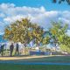 Top Tucson Private Schools: 2024 Guide | Best Schools in America: Top Public & Private Options