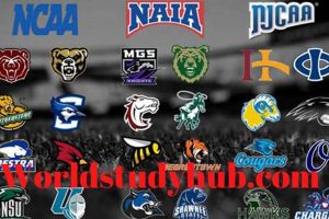 Top 10 Best NAIA Basketball Schools: A Guide Best Schools in America: Top Public & Private Options Top 10 Best NAIA Basketball Schools: A Guide | Best Schools in America: Top Public & Private Options