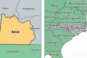 Anson County Schools NC: Job Opportunities & Careers Best Schools in America: Top Public & Private Options Anson County Schools NC: Job Opportunities & Careers | Best Schools in America: Top Public & Private Options