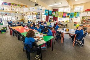 Top Best New Zealand Schools: Guide Best Schools in America: Top Public & Private Options Top Best New Zealand Schools: Guide | Best Schools in America: Top Public & Private Options