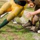 High School Football: Advancing a Fumbled Ball | Best Schools in America: Top Public & Private Options
