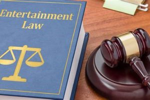 Top Law Schools for Sports & Entertainment Law Degrees Best Schools in America: Top Public & Private Options Top Law Schools for Sports & Entertainment Law Degrees | Best Schools in America: Top Public & Private Options