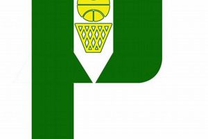 Parkview HS Basketball: Team News & Updates Best Schools in America: Top Public & Private Options Parkview HS Basketball: Team News & Updates | Best Schools in America: Top Public & Private Options