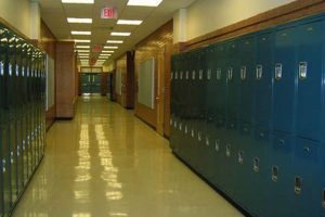 High School Locker Organization Tips & Tricks Best Schools in America: Top Public & Private Options High School Locker Organization Tips & Tricks | Best Schools in America: Top Public & Private Options
