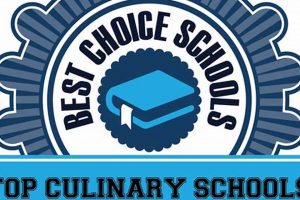 Top 5 Culinary Schools in Washington 2024 Best Schools in America: Top Public & Private Options Top 5 Culinary Schools in Washington 2024 | Best Schools in America: Top Public & Private Options