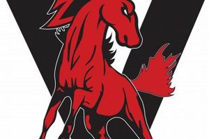 Top-rated Vernon Middle School: A Guide Best Schools in America: Top Public & Private Options Top-rated Vernon Middle School: A Guide | Best Schools in America: Top Public & Private Options