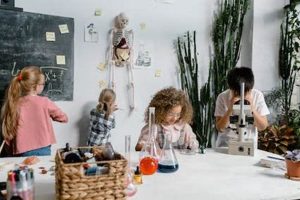 Top 5 Best After School Activities for Kids Best Schools in America: Top Public & Private Options Top 5 Best After School Activities for Kids | Best Schools in America: Top Public & Private Options