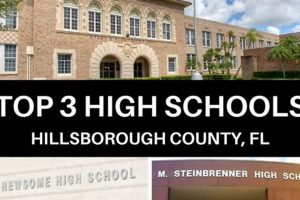 Top-Rated Best Schools Near Tampa FL: 2024 Guide Best Schools in America: Top Public & Private Options Top-Rated Best Schools Near Tampa FL: 2024 Guide | Best Schools in America: Top Public & Private Options