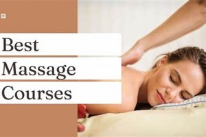 Top 10 Best Online Massage Therapy Schools 2024 Best Schools in America: Top Public & Private Options Top 10 Best Online Massage Therapy Schools 2024 | Best Schools in America: Top Public & Private Options