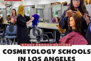 Top Los Angeles Cosmetology Schools & Programs Best Schools in America: Top Public & Private Options Top Los Angeles Cosmetology Schools & Programs | Best Schools in America: Top Public & Private Options