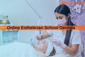 Top Esthetician Schools in Georgia: 2024 Guide Best Schools in America: Top Public & Private Options Top Esthetician Schools in Georgia: 2024 Guide | Best Schools in America: Top Public & Private Options