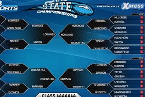 2024 GA HS Football Playoff Brackets Best Schools in America: Top Public & Private Options 2024 GA HS Football Playoff Brackets | Best Schools in America: Top Public & Private Options