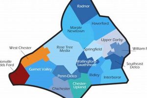 Best Delaware County School Districts: Guide Best Schools in America: Top Public & Private Options Best Delaware County School Districts: Guide | Best Schools in America: Top Public & Private Options