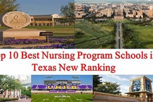Best Texas Nursing Schools Best Schools in America: Top Public & Private Options Best Texas Nursing Schools | Best Schools in America: Top Public & Private Options