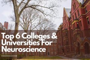 Top US Neuroscience Schools & Programs Best Schools in America: Top Public & Private Options Top US Neuroscience Schools & Programs | Best Schools in America: Top Public & Private Options