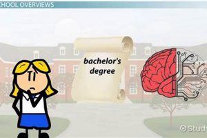 Top Neuroscience Undergraduate Programs & Schools Best Schools in America: Top Public & Private Options Top Neuroscience Undergraduate Programs & Schools | Best Schools in America: Top Public & Private Options