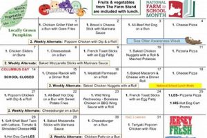 Lincoln Public Schools Lunch Menu: Nutritious & Delicious | Best Schools in America: Top Public & Private Options
