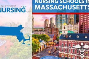Top Best Nursing Schools (BSN) Programs Best Schools in America: Top Public & Private Options Top Best Nursing Schools (BSN) Programs | Best Schools in America: Top Public & Private Options