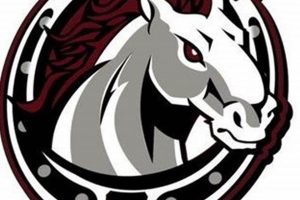 South Effingham Mustangs: High School Football Pride Best Schools in America: Top Public & Private Options South Effingham Mustangs: High School Football Pride | Best Schools in America: Top Public & Private Options