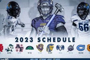Your Guide to Willow Springs High School Football Best Schools in America: Top Public & Private Options Your Guide to Willow Springs High School Football | Best Schools in America: Top Public & Private Options