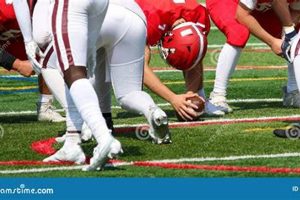 Top D2 TN Schools Seeking Long Snappers Best Schools in America: Top Public & Private Options Top D2 TN Schools Seeking Long Snappers | Best Schools in America: Top Public & Private Options