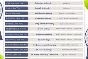 Top D1 Tennis Schools: The Ultimate Guide Best Schools in America: Top Public & Private Options Top D1 Tennis Schools: The Ultimate Guide | Best Schools in America: Top Public & Private Options