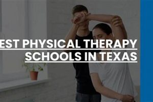 Top Physical Therapy Schools in Houston, TX Best Schools in America: Top Public & Private Options Top Physical Therapy Schools in Houston, TX | Best Schools in America: Top Public & Private Options