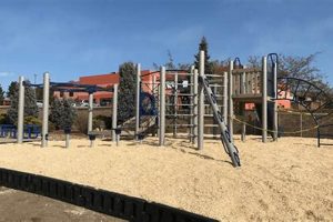 Top Playground Equipment for Safe Schools Best Schools in America: Top Public & Private Options Top Playground Equipment for Safe Schools | Best Schools in America: Top Public & Private Options