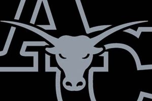 Top Anderson Co TN High School Basketball Teams Best Schools in America: Top Public & Private Options Top Anderson Co TN High School Basketball Teams | Best Schools in America: Top Public & Private Options