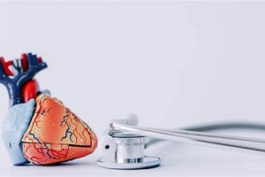 Top US Medical Schools for Cardiology Programs Best Schools in America: Top Public & Private Options Top US Medical Schools for Cardiology Programs | Best Schools in America: Top Public & Private Options