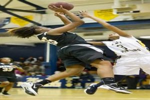 Top Murphy High School Basketball Teams Best Schools in America: Top Public & Private Options Top Murphy High School Basketball Teams | Best Schools in America: Top Public & Private Options