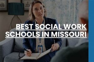 Top 10 Best MSW Schools: 2024 Rankings Best Schools in America: Top Public & Private Options Top 10 Best MSW Schools: 2024 Rankings | Best Schools in America: Top Public & Private Options