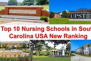 Top Nursing Schools in SC: 2024 Guide Best Schools in America: Top Public & Private Options Top Nursing Schools in SC: 2024 Guide | Best Schools in America: Top Public & Private Options