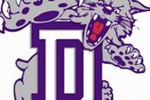 Duluth High School Basketball: A Thriving Tradition Best Schools in America: Top Public & Private Options Duluth High School Basketball: A Thriving Tradition | Best Schools in America: Top Public & Private Options
