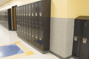 Private School Elementary Lockers: Secure & Organized Best Schools in America: Top Public & Private Options Private School Elementary Lockers: Secure & Organized | Best Schools in America: Top Public & Private Options