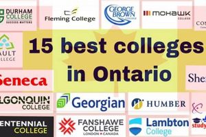 Top Best Ontario Schools: Guide & Ranking Best Schools in America: Top Public & Private Options Top Best Ontario Schools: Guide & Ranking | Best Schools in America: Top Public & Private Options