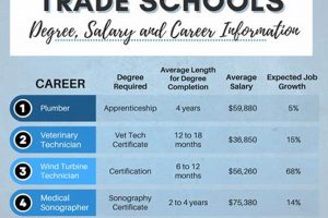 Top 10 Best Trade School Jobs & Careers Best Schools in America: Top Public & Private Options Top 10 Best Trade School Jobs & Careers | Best Schools in America: Top Public & Private Options