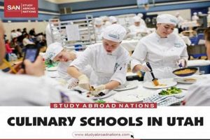 Top 5 Culinary Schools in Utah 2024 Best Schools in America: Top Public & Private Options Top 5 Culinary Schools in Utah 2024 | Best Schools in America: Top Public & Private Options